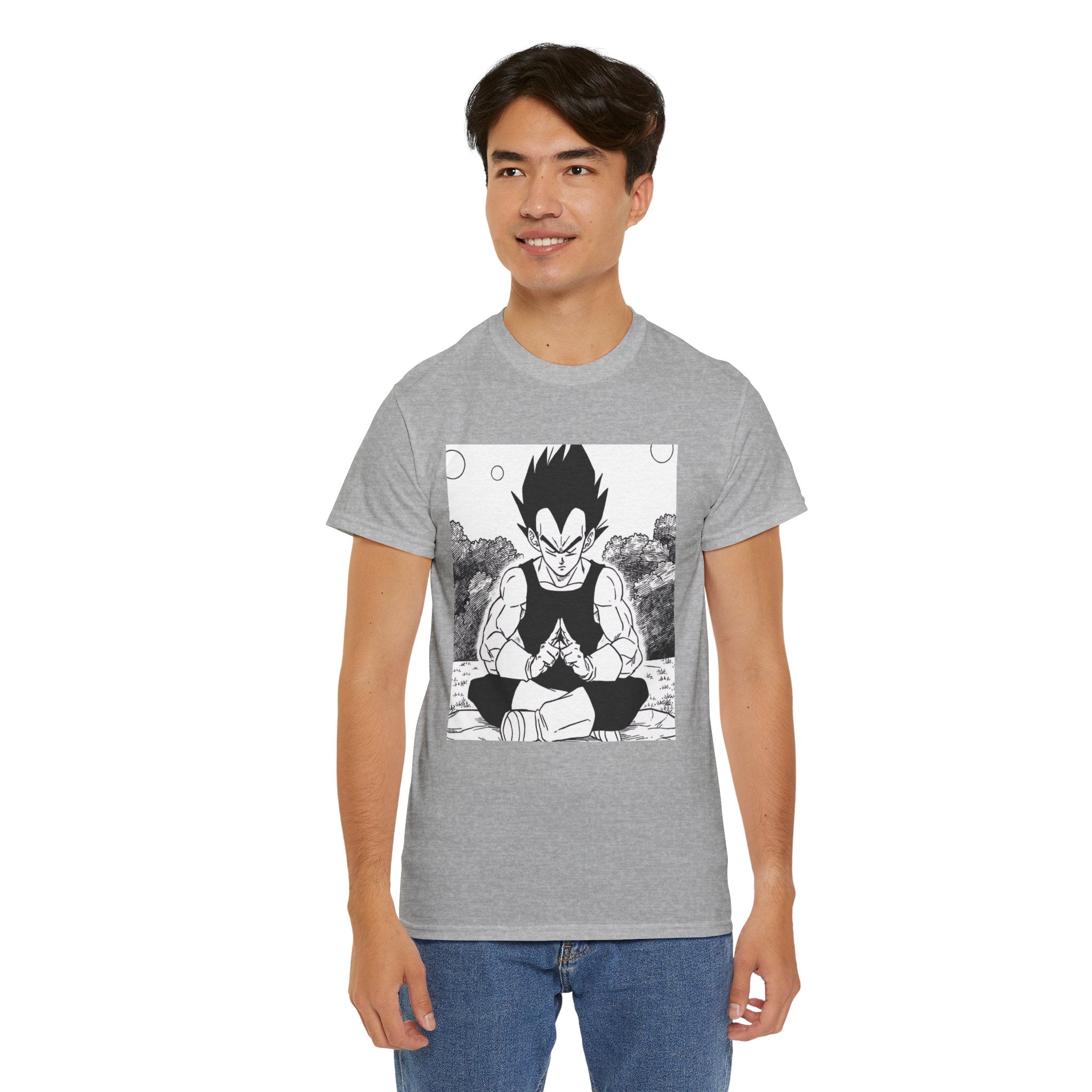 Prince Vegeta IV